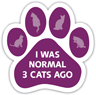 I Was Normal 3 Cats Ago thumbnail