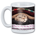 Cat and Coffee thumbnail