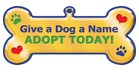Give a Dog a Name - ADOPT TODAY! thumbnail