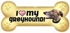 Greyhound thumbnail