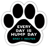 Every day is hump day Spay & Neuter thumbnail