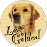 Love is Golden thumbnail