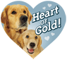 Heart of Gold thumbnail