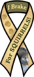 Squirrels thumbnail