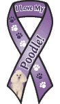 Poodle (white) thumbnail