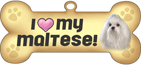 Maltese thumbnail