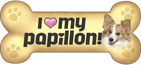 Papillon thumbnail