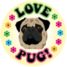 Love Pug! thumbnail