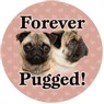 Forever Pugged! thumbnail