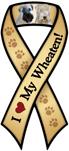 Wheaten thumbnail