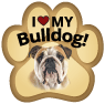 Bulldog thumbnail