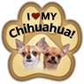 Chihuahua thumbnail