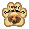 Dachshund thumbnail