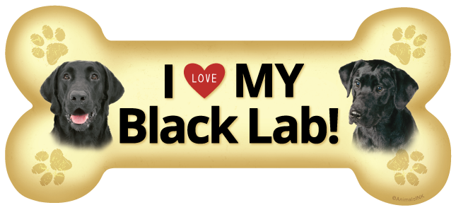 Lab (Black) thumbnail