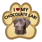 Labrador (chocolate) thumbnail
