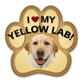 Labrador (yellow) thumbnail