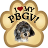 PBGV thumbnail