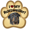 Rottie thumbnail