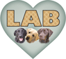 Labrador thumbnail