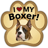 Boxer thumbnail