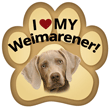 Weimaraner thumbnail