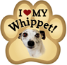 Whippet thumbnail