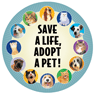 Save a Life - Adopt A Pet! thumbnail