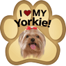 Yorkie thumbnail