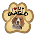 Beagle thumbnail