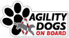 Agility Dogs thumbnail