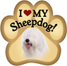 Old English Sheepdog thumbnail