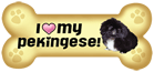Pekingese thumbnail