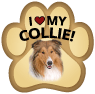 Collie thumbnail