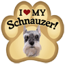 Schnauzer thumbnail