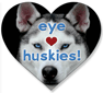 Huskies thumbnail