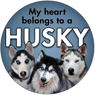 Husky thumbnail