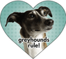 Greyhound's Rule thumbnail