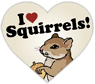 Squirrels thumbnail