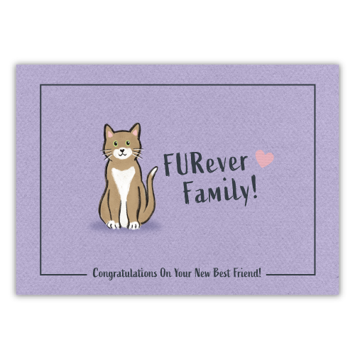Furrever Family - CAT drawing thumbnail