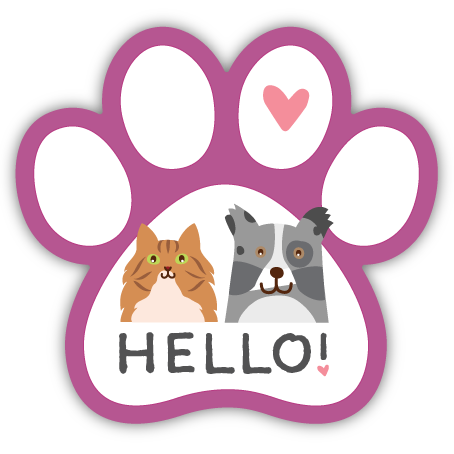 HELLO! Dog and Cat  thumbnail