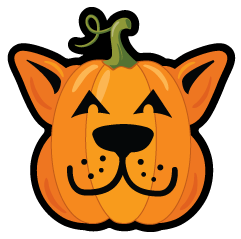 Pumpkin Dog thumbnail