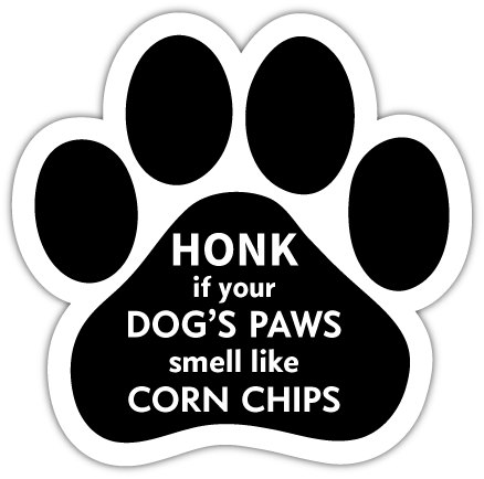 Paws Smell like Corn Chips thumbnail