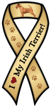Irish Terrier thumbnail