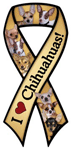 Chihuahuas thumbnail