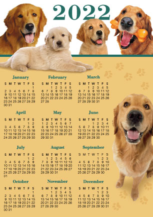 Golden Retriever (2022 Calendar) thumbnail