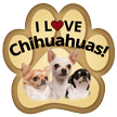 Chihuahuas thumbnail