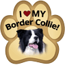Border Collie thumbnail