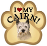 Cairn Terrier thumbnail