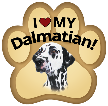 Dalmatian thumbnail