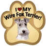 Fox Terrier thumbnail